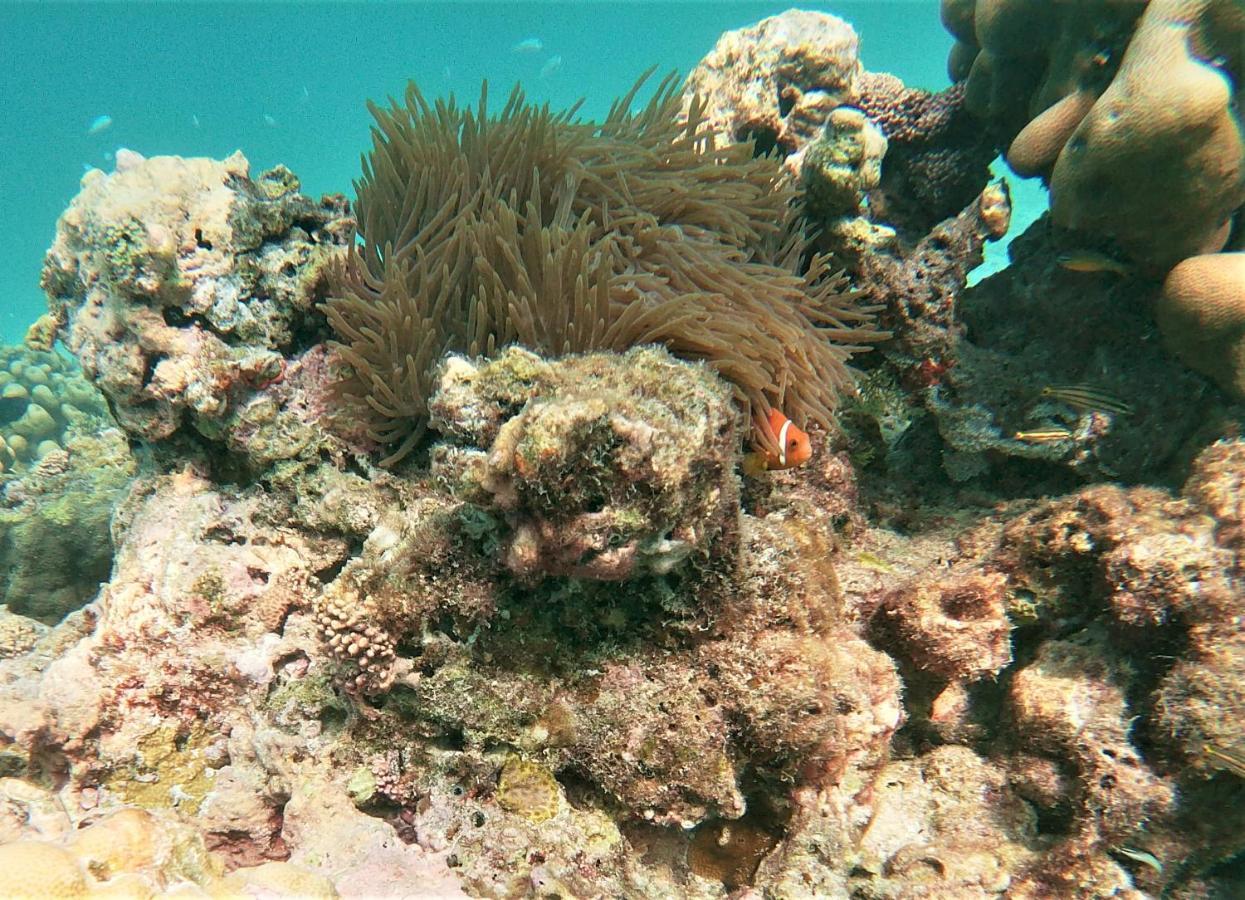 One The Island Hotel Naifaru Luaran gambar