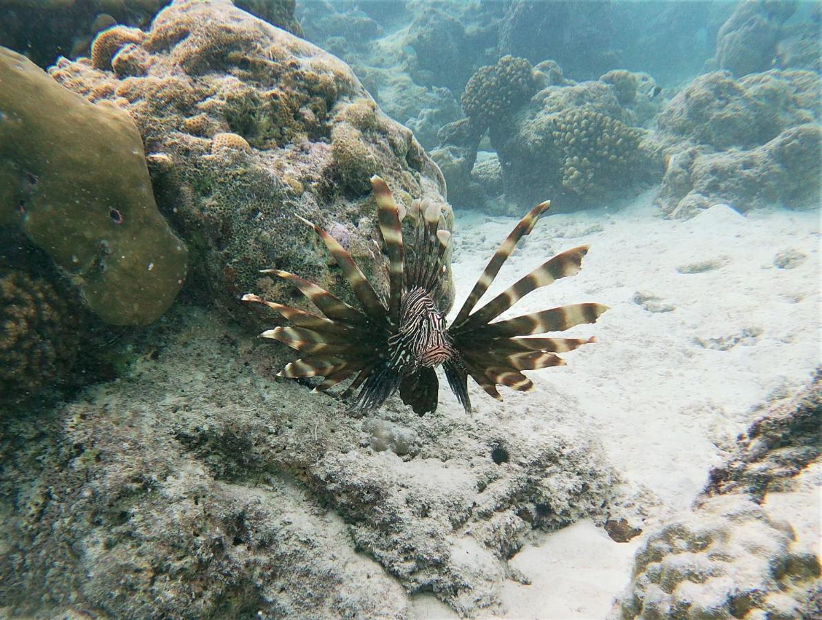 One The Island Hotel Naifaru Luaran gambar
