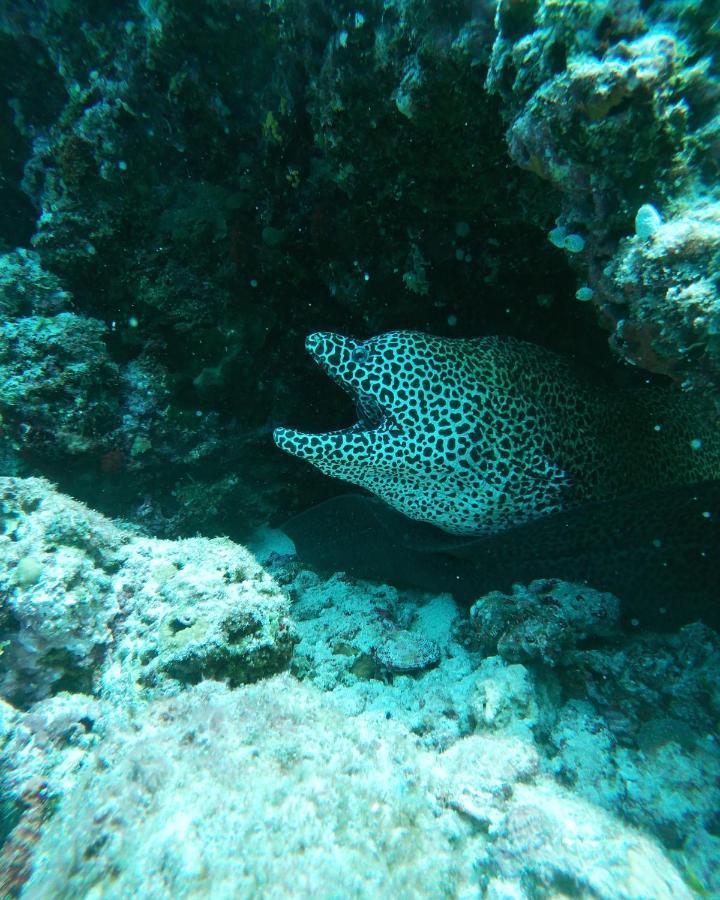 One The Island Hotel Naifaru Luaran gambar