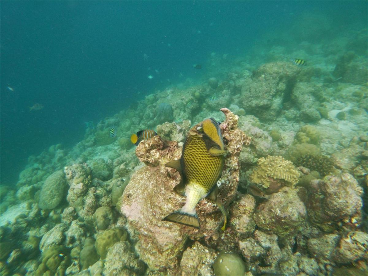 One The Island Hotel Naifaru Luaran gambar