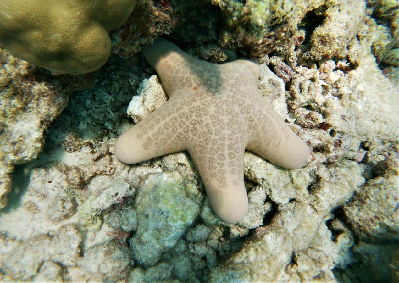 One The Island Hotel Naifaru Luaran gambar