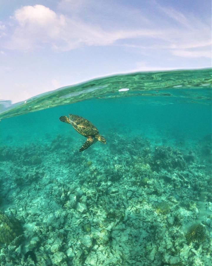 One The Island Hotel Naifaru Luaran gambar