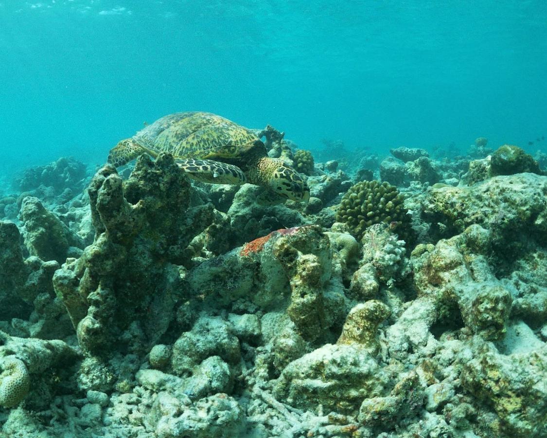 One The Island Hotel Naifaru Luaran gambar