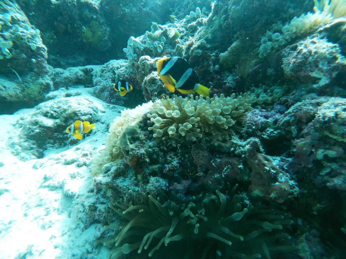 One The Island Hotel Naifaru Luaran gambar