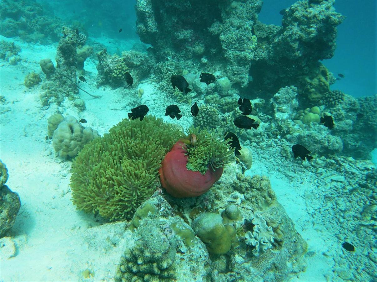 One The Island Hotel Naifaru Luaran gambar