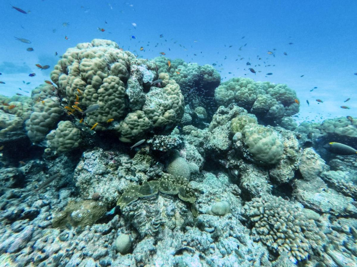 One The Island Hotel Naifaru Luaran gambar
