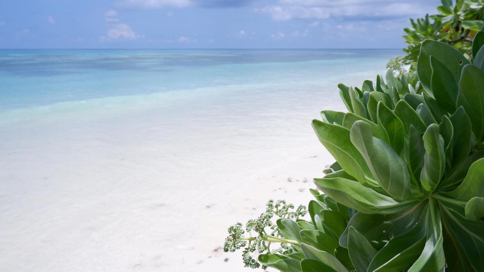 One The Island Hotel Naifaru Luaran gambar